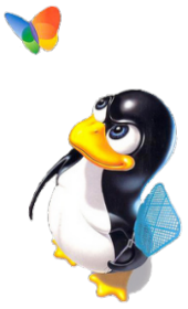 Xkè passare al Software libero