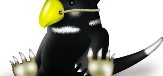 Aggiornato Linux Kernel alla versione 2.6.29