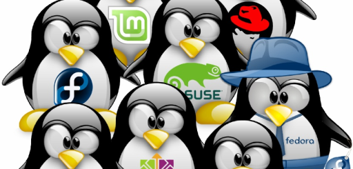 Rilascio distribuzioni BSD e GNU/Linux