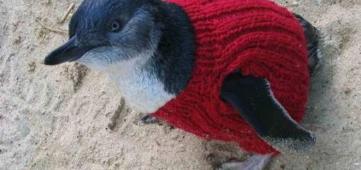 Marco’s Box I/O 48