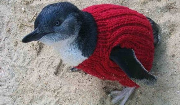 Marco’s Box I/O 48