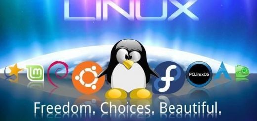 Vediamo cos’e’ Linux