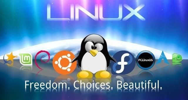 Vediamo cos’e’ Linux