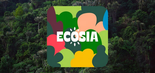 Ecosia: il motore di ricerca che pianta alberi