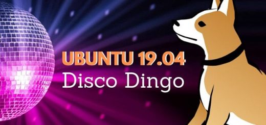 Svelato il nome di Ubuntu 19,04: si chiamerà Disco Dingo.