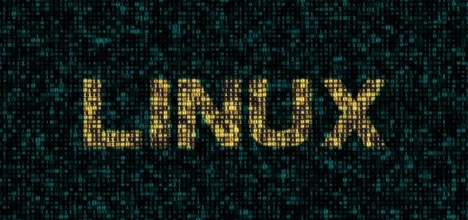 Torvalds rilascia il kernel Linux 4.20