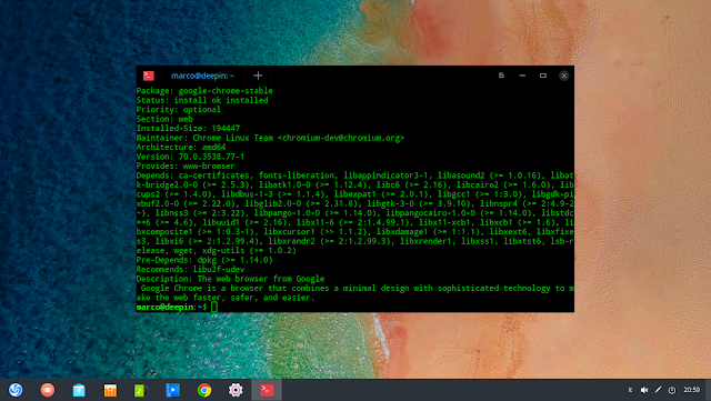 Deepin Linux ha un problema con la sicurezza dei browser 2 deepin linux ha un problema con la sicurezza dei browser 1