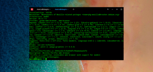 Deepin Linux ha un problema con la sicurezza dei browser