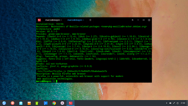 Deepin Linux ha un problema con la sicurezza dei browser 1 deepin linux ha un problema con la sicurezza dei browser