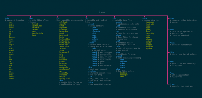 [GUIDA] Ecco come vedere la storia dei pacchetti installati, aggiornati o rimossi su Ubuntu, Debian o Mint