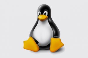Torvalds dà il via allo sviluppo del kernel Linux 5.0: arriverà a Marzo 2019