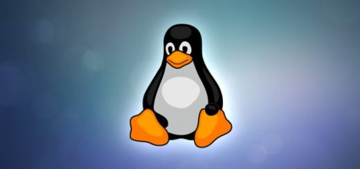 [GUIDA] Vediamo come eseguire il downgrade di un’app su Ubuntu, Mint e Debian