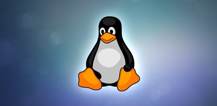 [GUIDA] Vediamo come eseguire il downgrade di un’app su Ubuntu, Mint e Debian