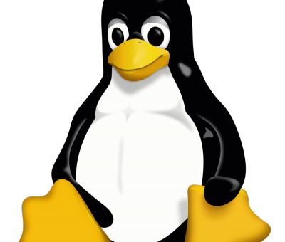 Siete sicuri di pronunciare Linux nella maniera corretta?