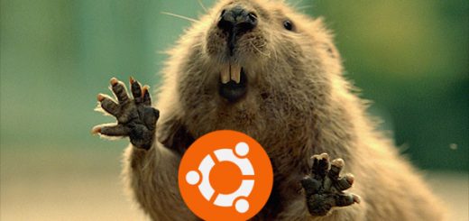 Ubuntu: LTS per S. Valentino