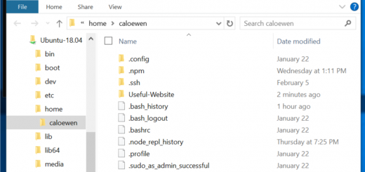 WSL: dal prossimo update si potrà accedere ai file su Linux tramite Esplora Risorse