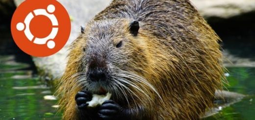 La nuova rlease Ubuntu 18.04 LTS Bionic Beaver sarà supportata fino ad aprile 2023.