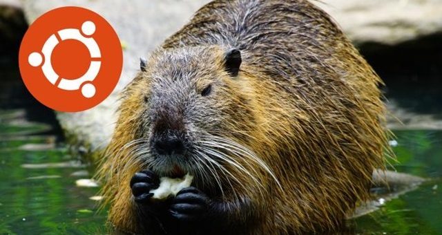 La nuova rlease Ubuntu 18.04 LTS Bionic Beaver sarà supportata fino ad aprile 2023.