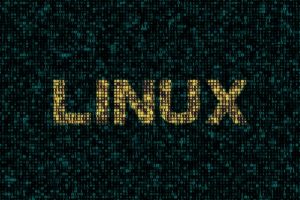 Torvalds rilascia il kernel Linux 5.0