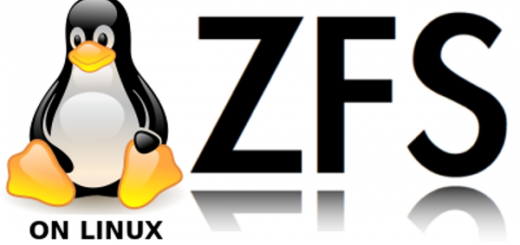 ZFS On Linux 0.7.13 permette di essere eseguito sul Kernel 5.0!