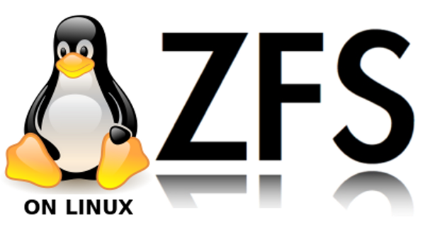 ZFS On Linux 0.7.13 permette di essere eseguito sul Kernel 5.0!