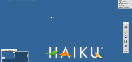 Haiku OS: da oggi ecco il supporto NVMe!