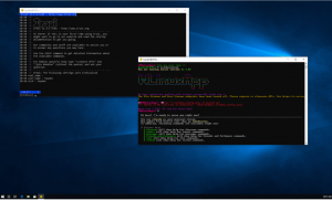 Pengwin (WLinux): la distro per il WSL arriva alla versione 1.2