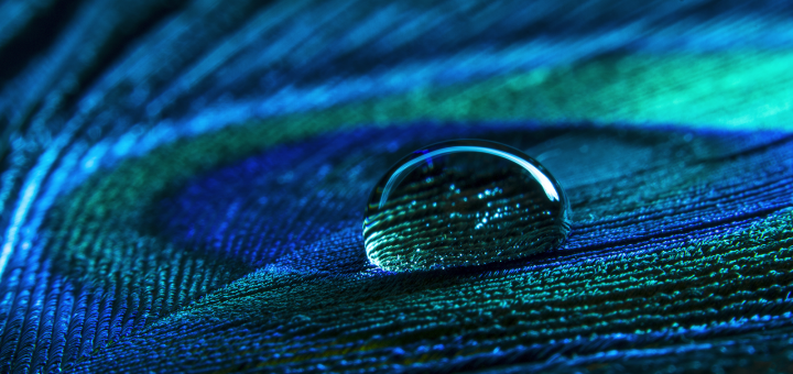 Chromebook in maglietta bianca