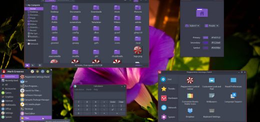 Peppermint 10 si basa su Ubuntu 18.04.