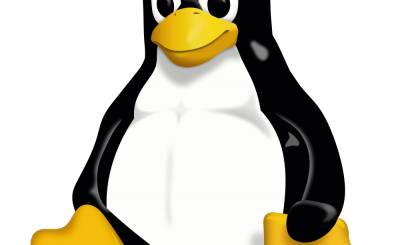 Sapete cosa eliminerebbe Linus Torvalds dal mondo informatico moderno? I social.