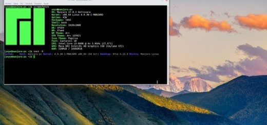 Guida a Manjaro Linux: installazione, passaggi preliminari e preparazione di un sistema EFI.