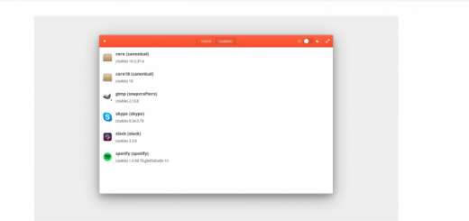 Le Snap App sbarcano su Elementary OS grazie a Snaptastic
