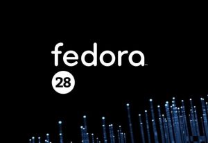 Linux RR: Fedora 28 in EOL. Plasma 5.16, ecco il nuovo wallpaper