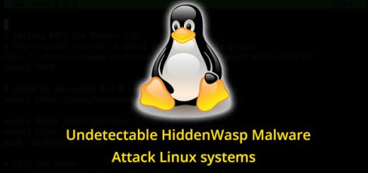 Stai attento Linux a Hiddenwasp.