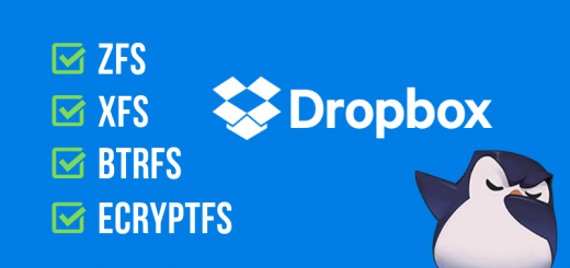 Dropbox sta riportando il supporto per ZFS, XFS, Btrfs ed eCryptFS su Linux