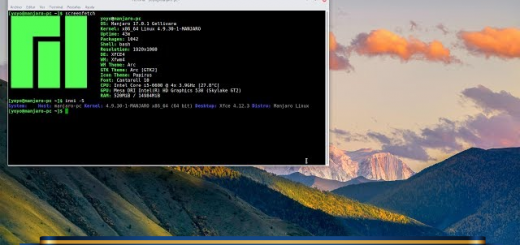 Guida a Manjaro Linux: installazione per utenti con esperienza con versioni del kernel Linux.