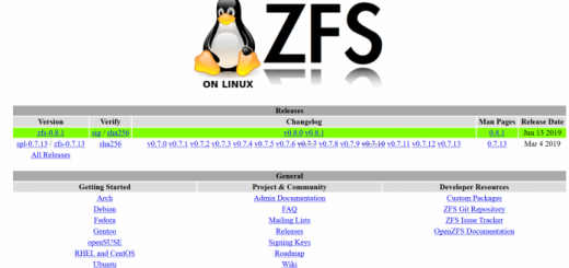 Il file system ZFS in arrivo su Ubuntu 19.10?