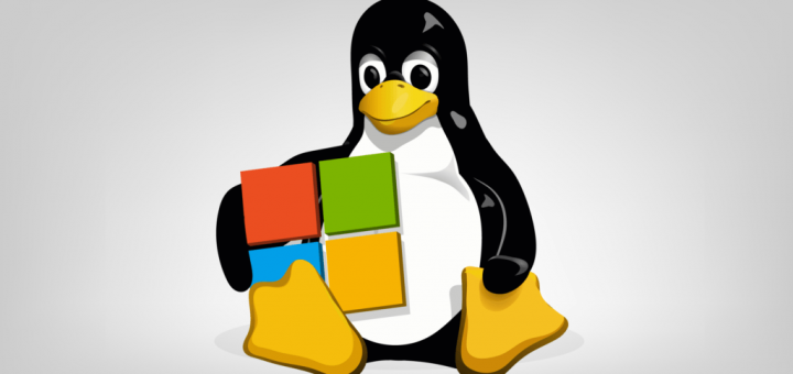 Microsoft ammessa alla lista chiusa linux-distro security