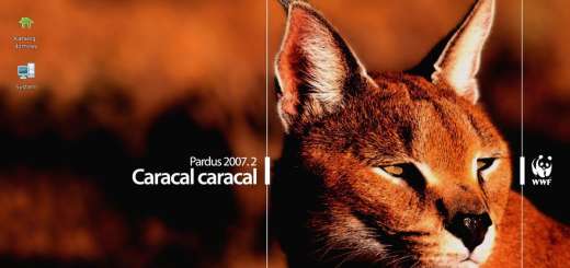 Pardus è una distribuzione Linux sviluppata con il sostegno del governo turco.