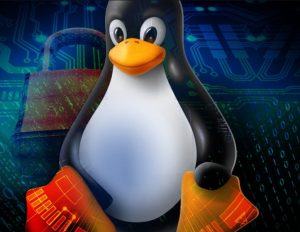 Linus Torvalds annuncia il kernel Linux 5.3