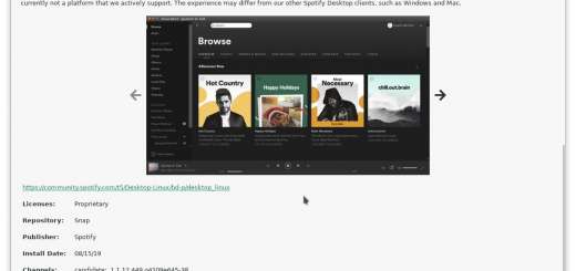 Pamac 9.0 avrà il supporto agli snap tramite plugin
