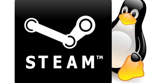 Steam su Linux: 0.8% ad Agosto 2019