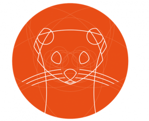 Ubuntu 19.10 Eoan Ermine: disponibile la beta!