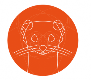 Ubuntu 19.10 Eoan Ermine: disponibile la beta!