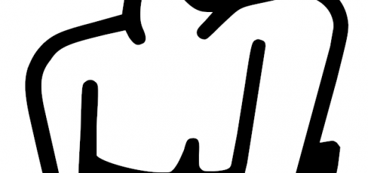 Una distribuzione vuole incarnare il principio KISS