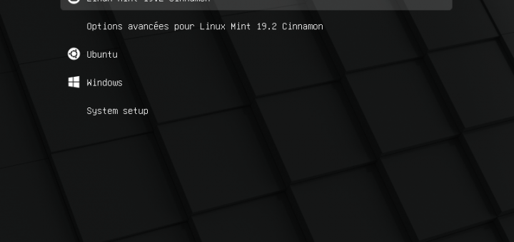 Linux Mint 19.3 “Tricia” uscirà prima di Natale con tante novità