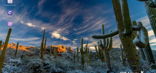 MX linux 19 – Full-Mate snapshot remix