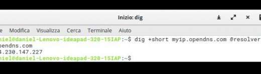 Trovare l’indirizzo IP dal terminale Linux