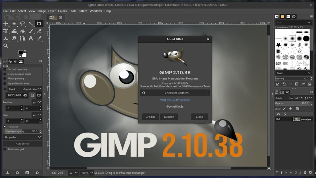 Rilasciato GIMP 2.10.38