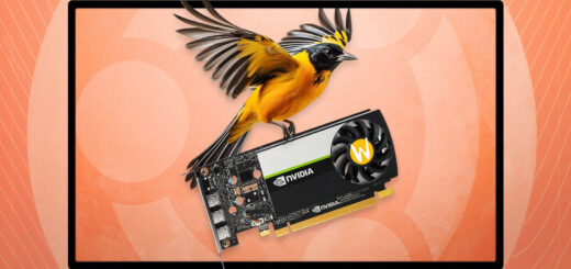 Gli utenti NVIDIA potranno utilizzare Wayland per impostazione predefinita in Ubuntu 24.10 